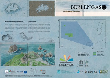  Conte&uacute;dos de comunica&ccedil;&atilde;o sobre o patrim&oacute;nio natural do arquip&eacute;lago das Berlengas