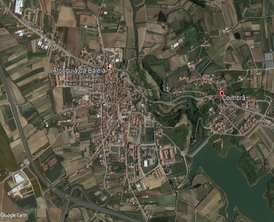 Atg Baleia - Coimbr&atilde;
