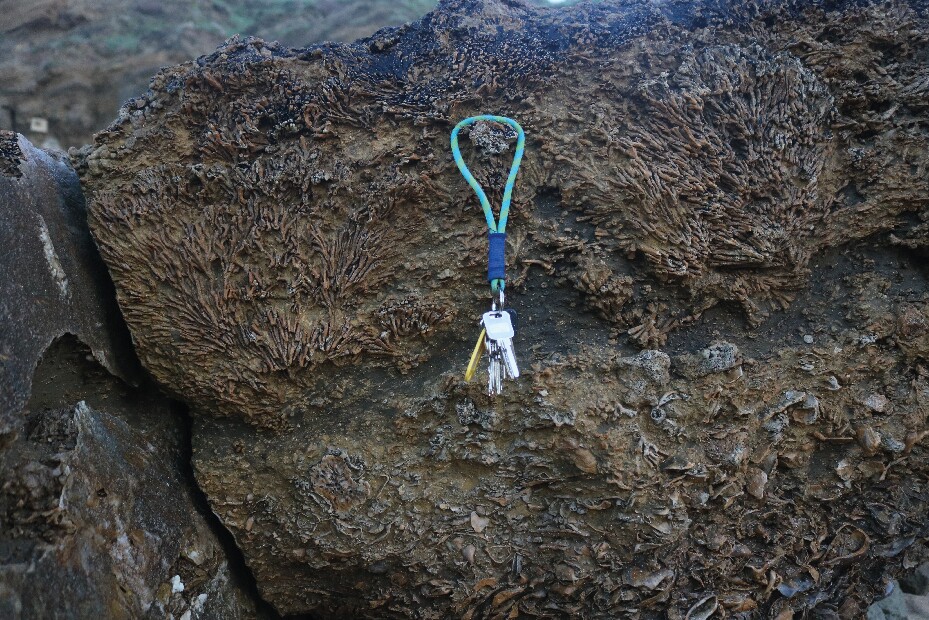 Camadas rochosas, com v&aacute;rios f&oacute;sseis de conchas e corais