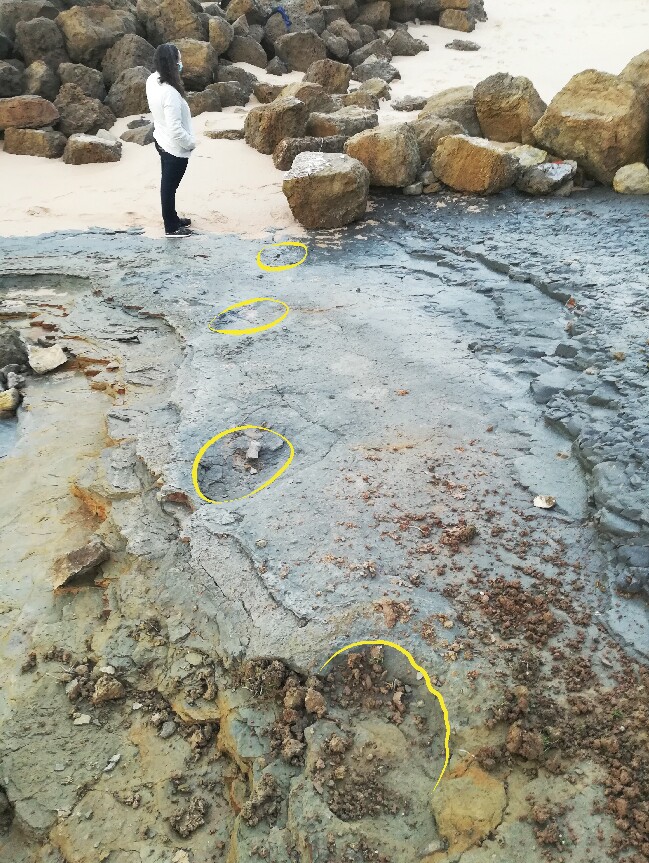 Representa&ccedil;&atilde;o das pegadas de dinossauro