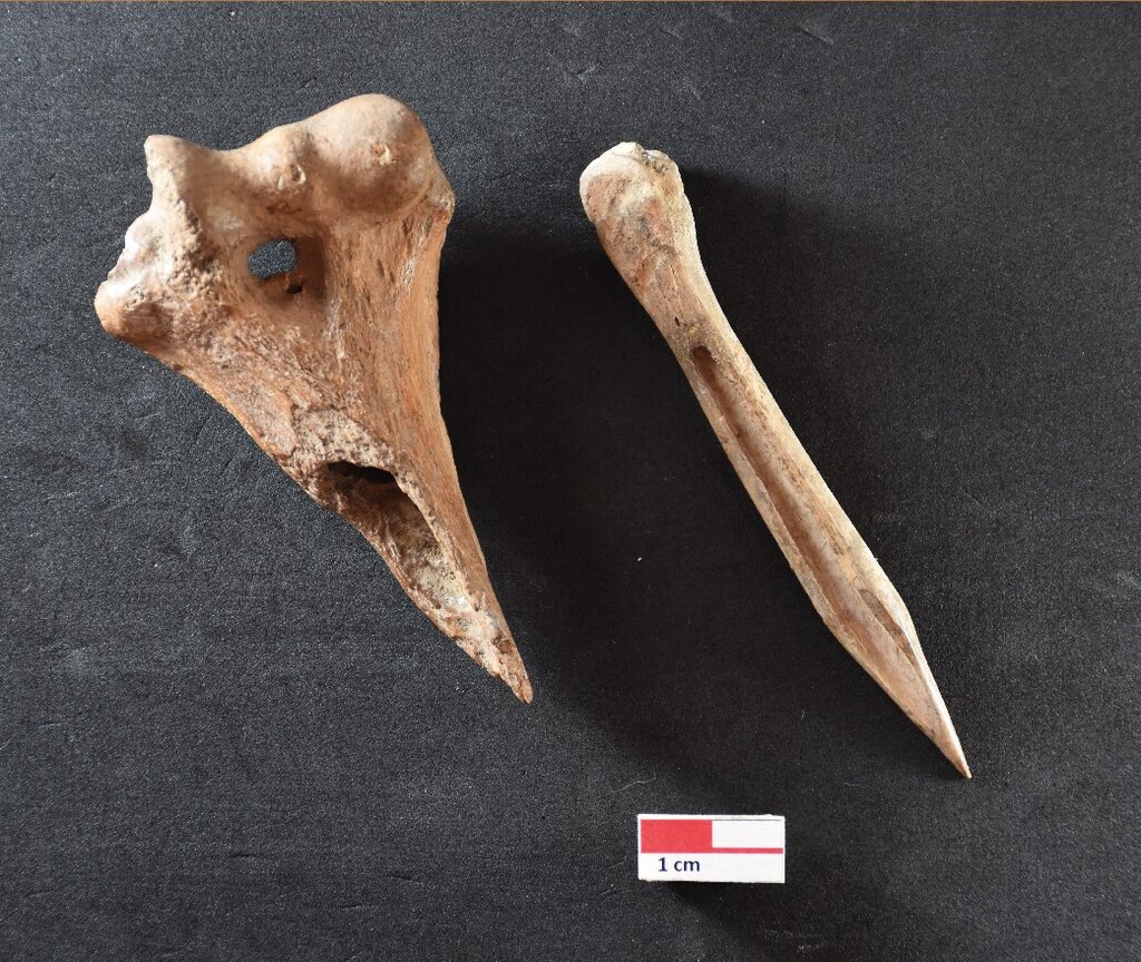 Fragmento-Osso-G-Furninha