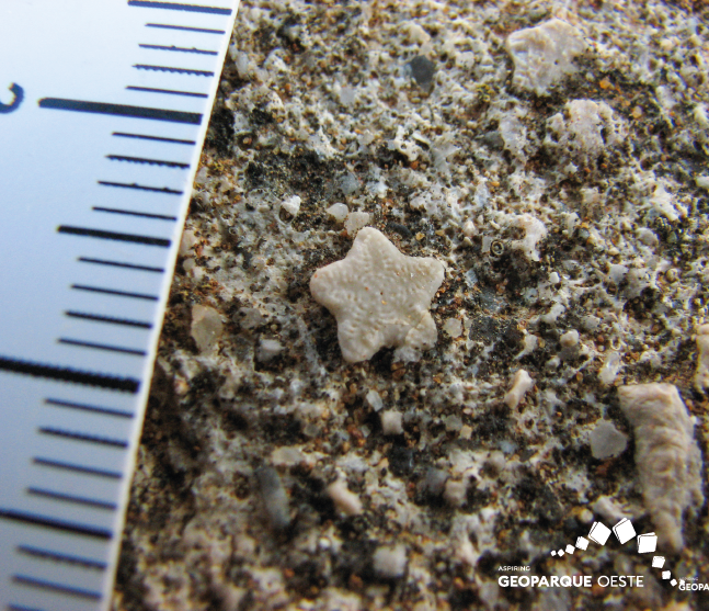 Geologia-Cabo-Carvoeiro-2